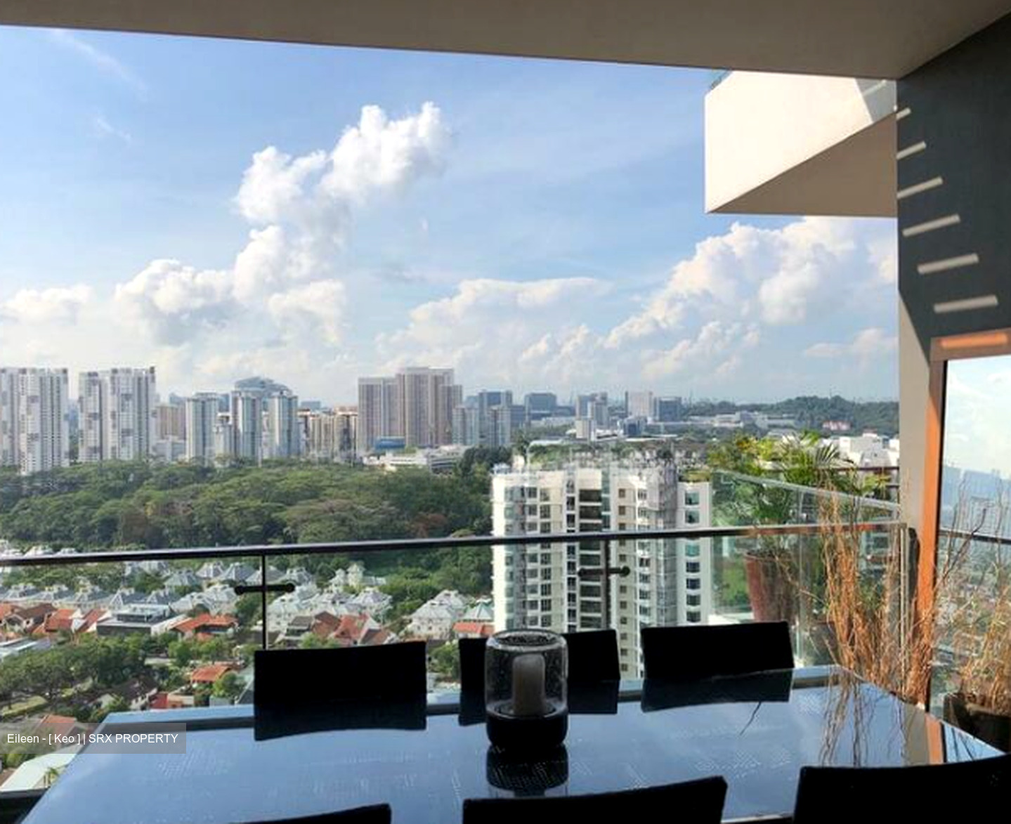 The Trizon (D10), Condominium #529918241